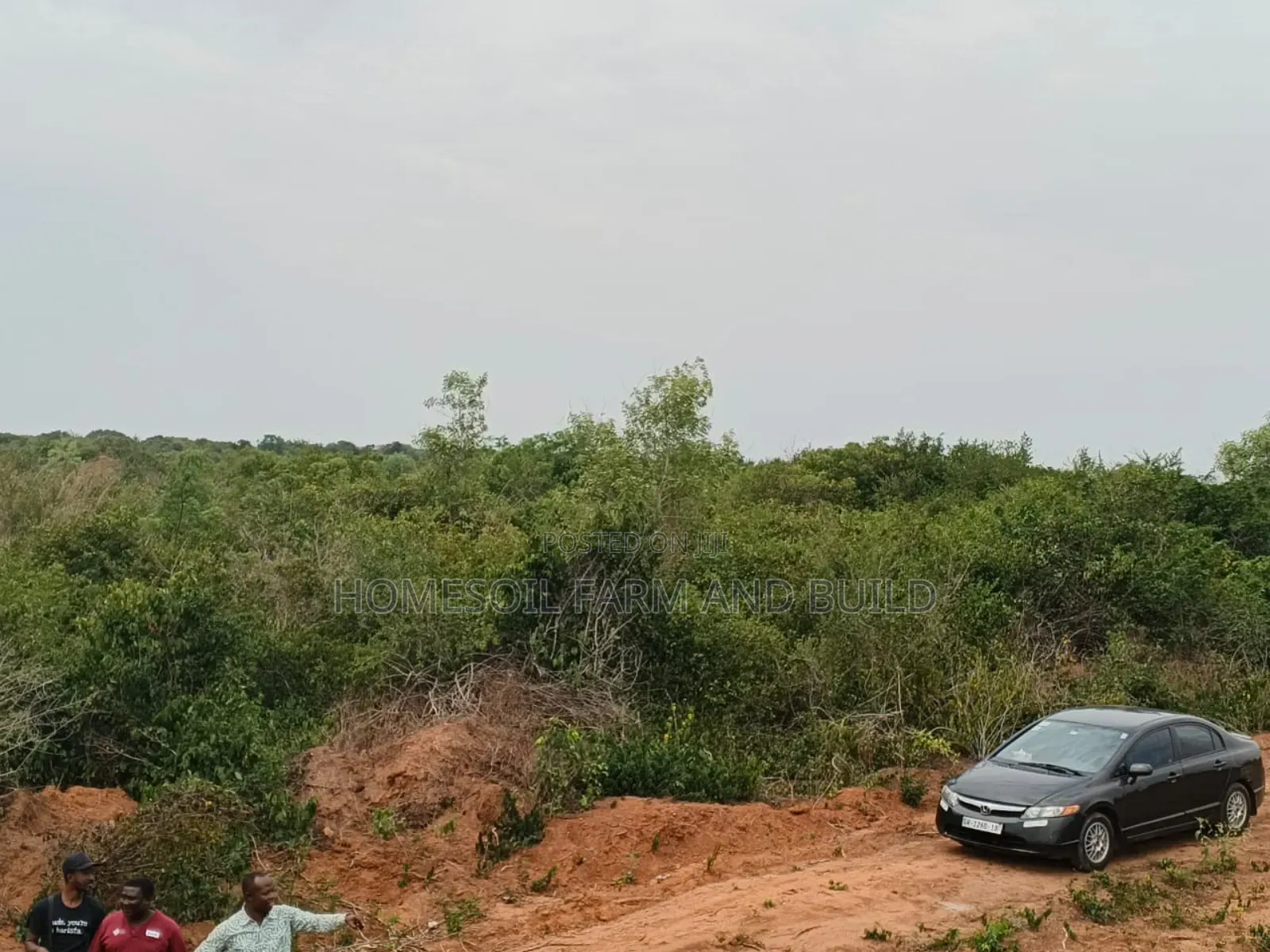 8 Plots of Flat Land With Beautiful Sea View for Sale