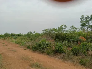 4 Acres of Litigation Free Residential Land, at Senya for Sale