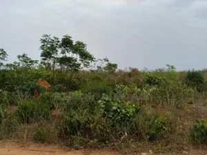 4 Acres of Litigation Free Residential Land, at Senya for Sale