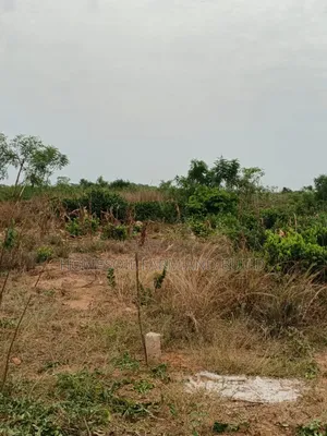 4 Acres of Litigation Free Residential Land, at Senya for Sale
