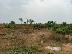 4 Acres of Litigation Free Residential Land, at Senya for Sale