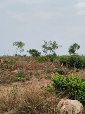 4 Acres of Litigation Free Residential Land, at Senya for Sale