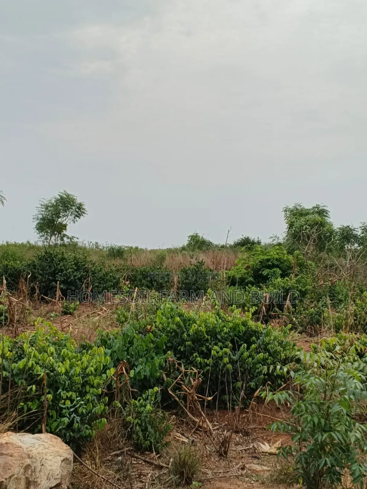 4 Acres of Litigation Free Residential Land, at Senya for Sale