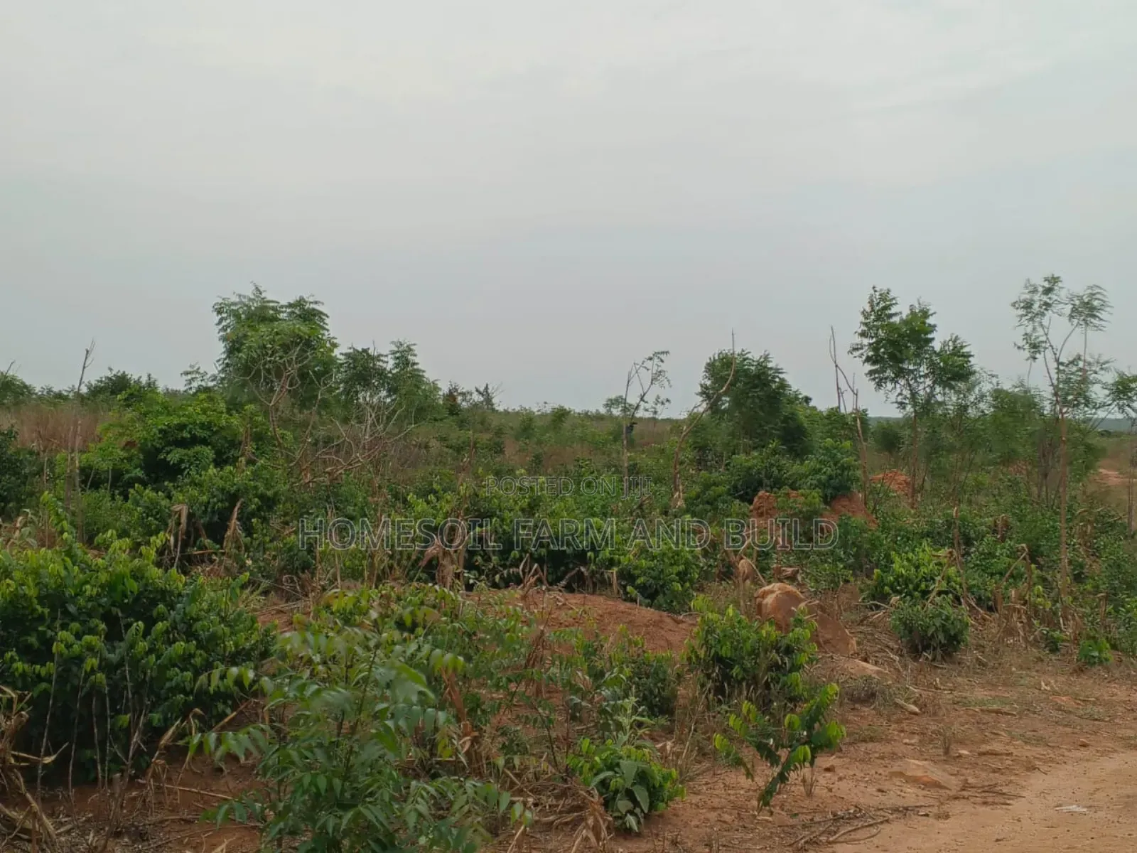4 Acres of Litigation Free Residential Land, at Senya for Sale