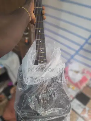 Acoustic Guitar