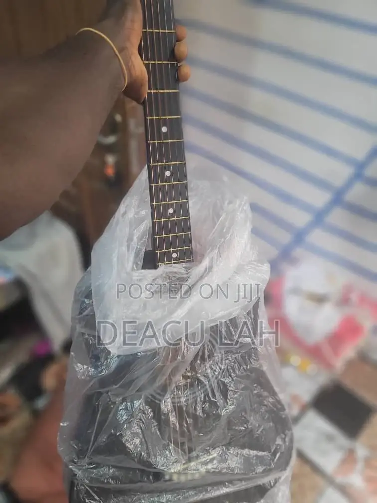 Acoustic Guitar