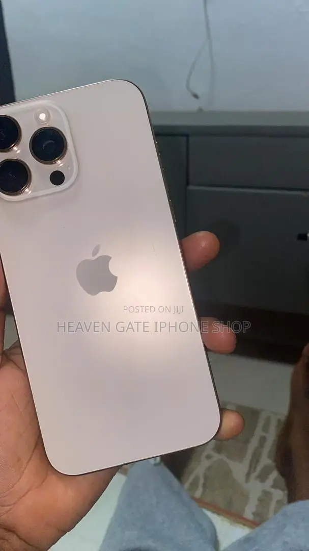 Apple iPhone 16 Pro Max 256 GB Silver