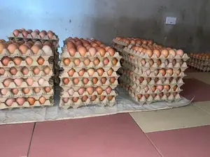 Poultry Egg Sales