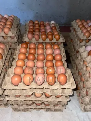 Poultry Egg Sales