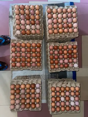 Poultry Egg Sales