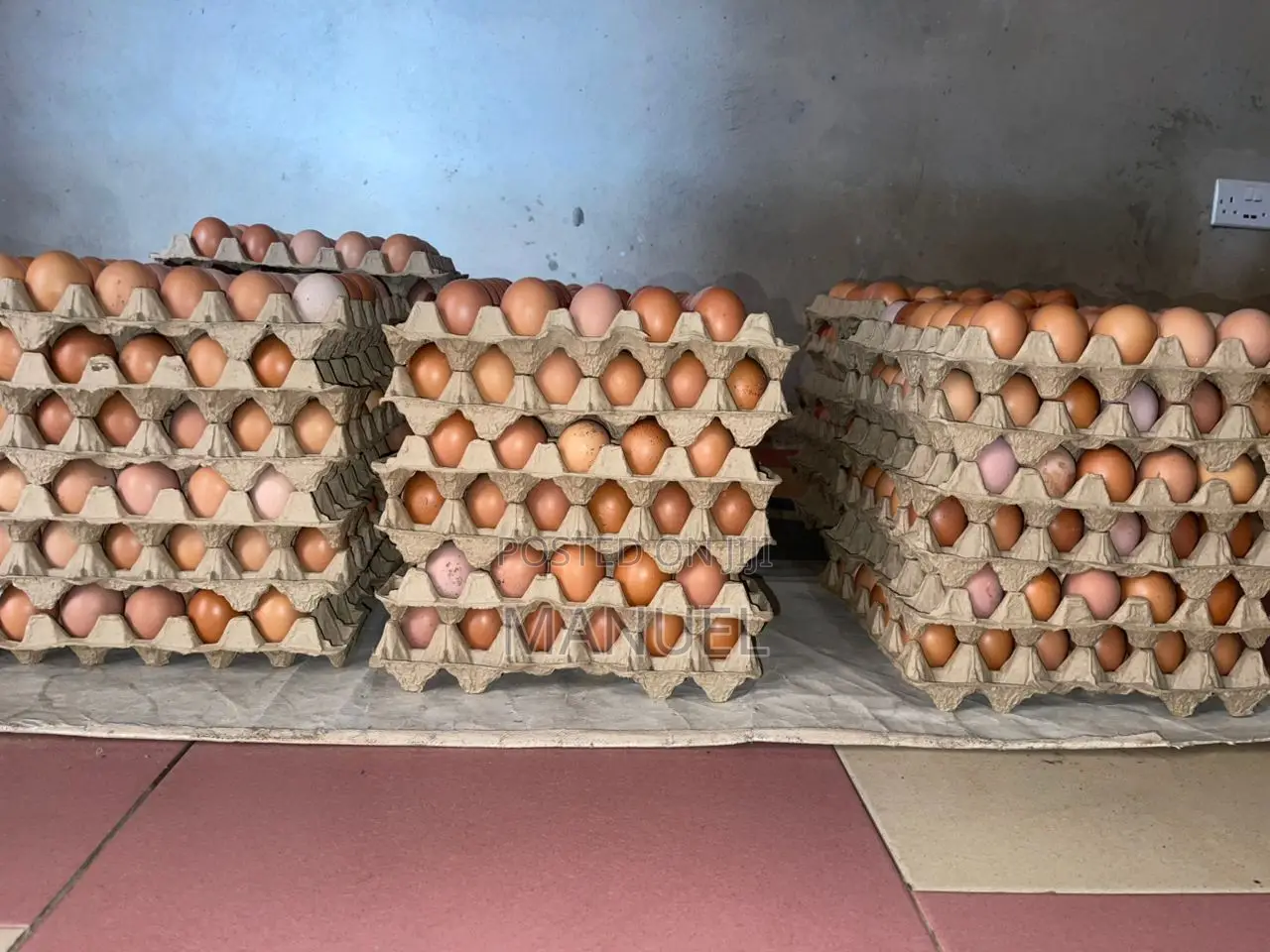 Poultry Egg Sales
