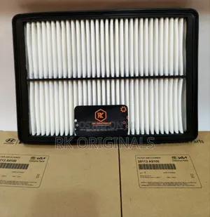 Palisade/Santa Fe/Sorento/Telluride 16-25 Air Filter From Korea 🇰🇷.