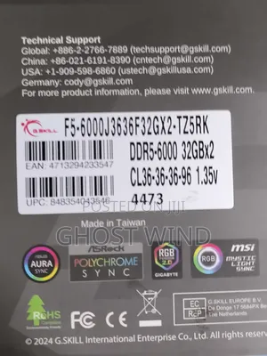 DDR 5 Rams