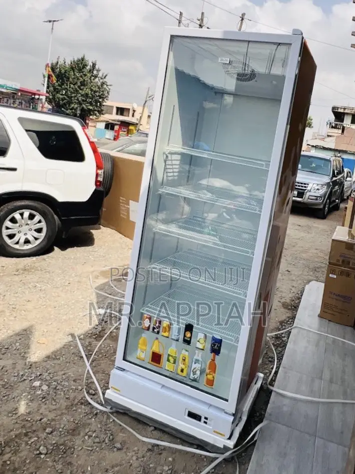 Quiet and Reliable Zara-600dfg Single Door Beverage Cooler(591l)