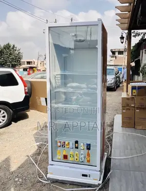 Latest, Reliable and Affordable Zara-600dfg 1 Door Display Fridge.