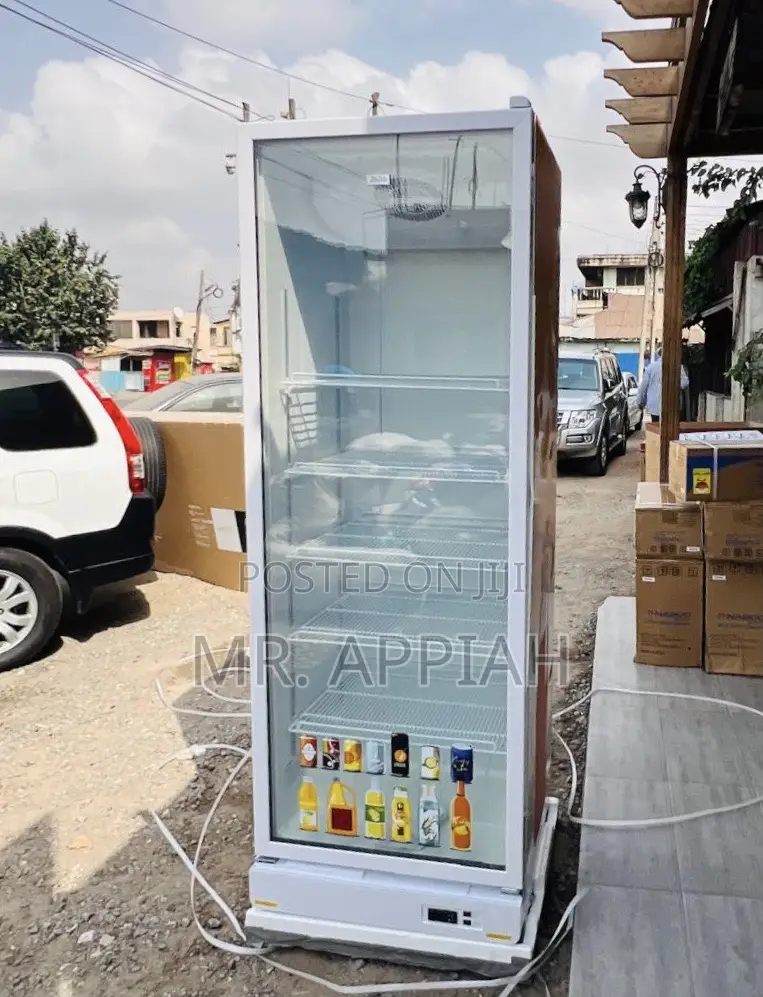 Latest, Reliable and Affordable Zara-600dfg 1 Door Display Fridge.