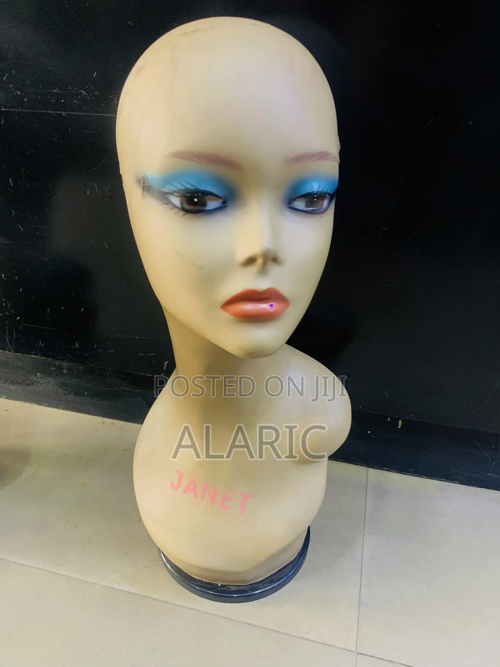 Mannequin Head And Accessories
