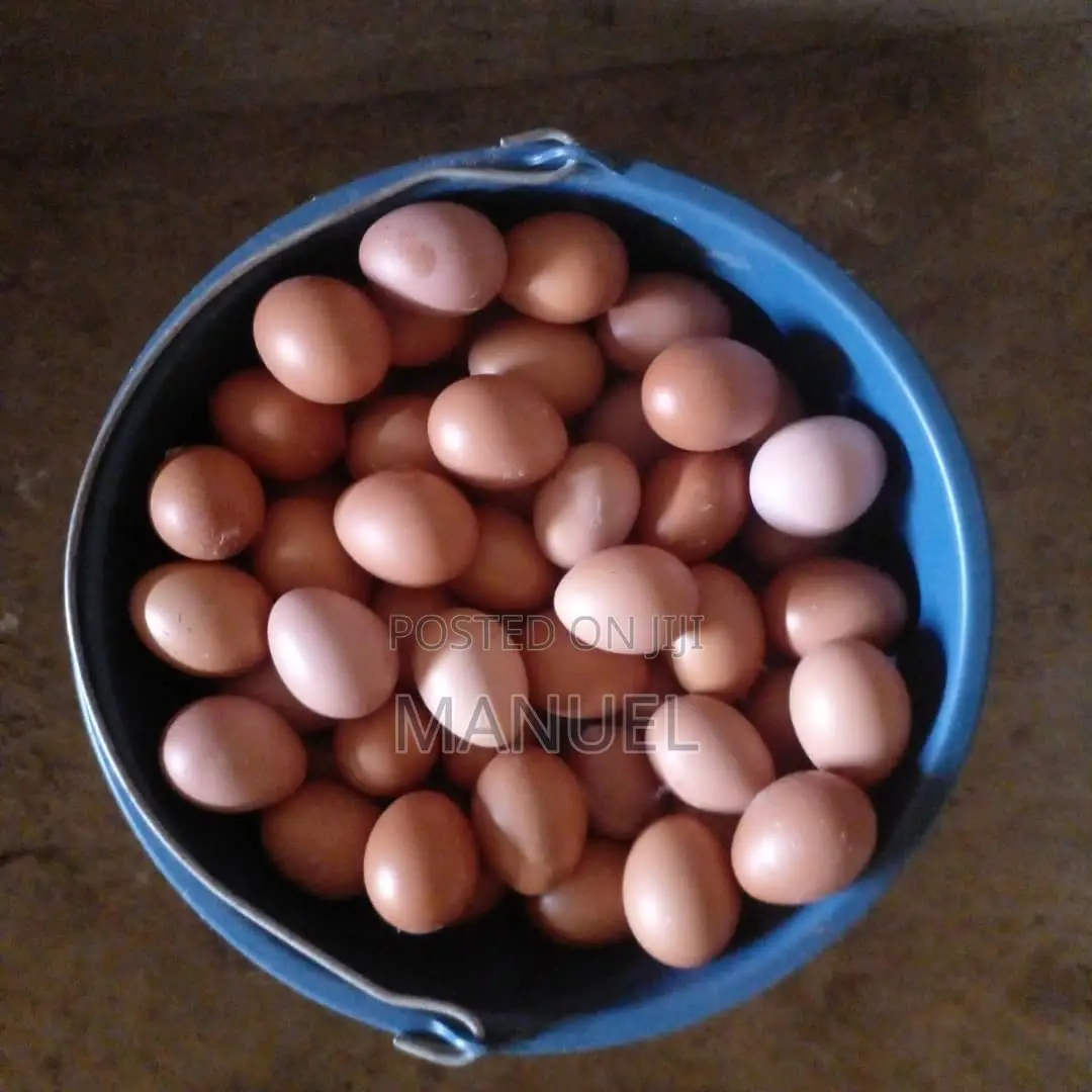 Poultry Egg Sales