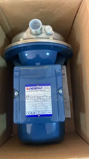 Pedrollo Water Pump