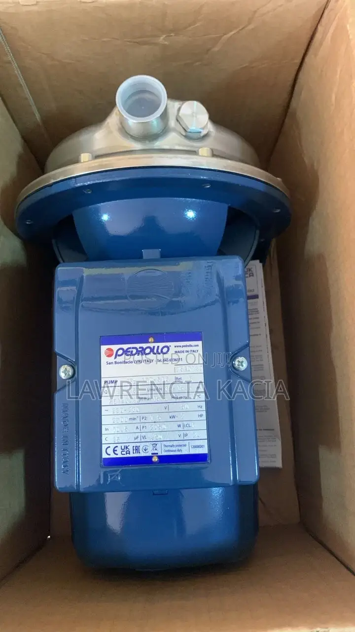 Pedrollo Water Pump