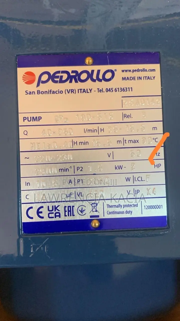 Pedrollo Water Pump
