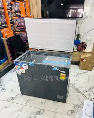 Unique Design Nasco-Nas300 250liters Electric Chest Freezer;(Gray)