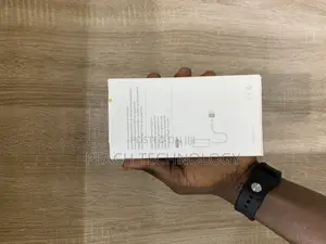 Original iPhone Charger