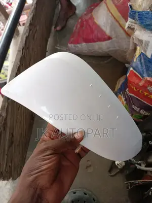 Rav 4 Mirror Cover