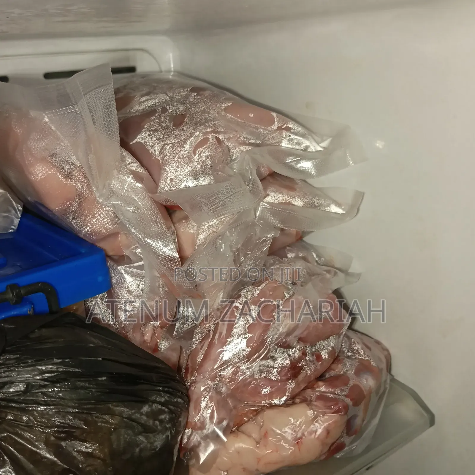 Froze Quail Meat