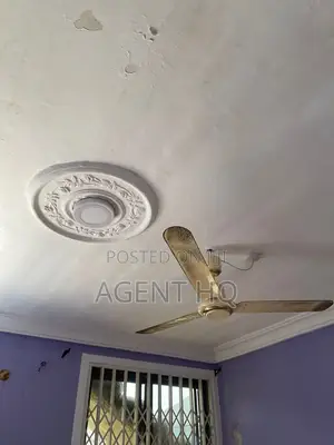 1bdrm Room & Parlour in Bortiano for rent