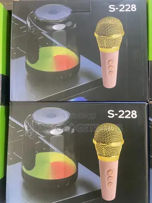S228 Bluetooth Karaoke Speaker and Microphone