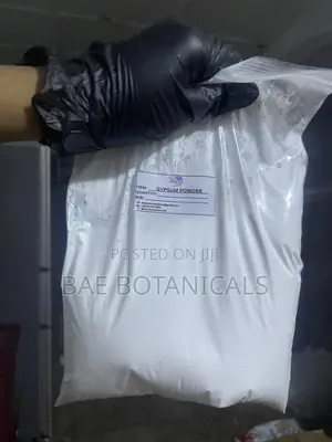 Pure Gypsum Powder (For Arts and Crafts)