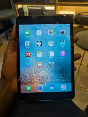 Apple iPad mini 1 16 GB Gray