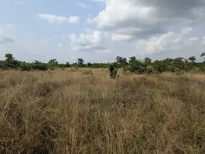 Farmland For Sale Mampong Jeduako
