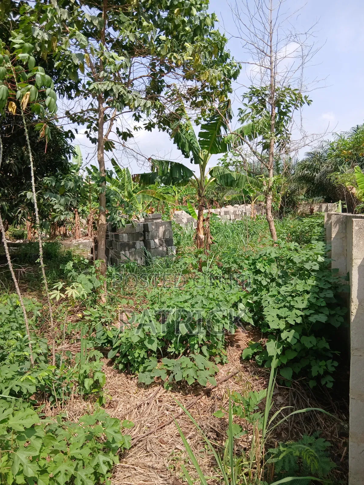 Two Plots of Land Just Behind Mowire Hospital