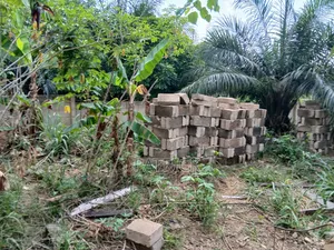 Two Plots of Land Just Behind Mowire Hospital