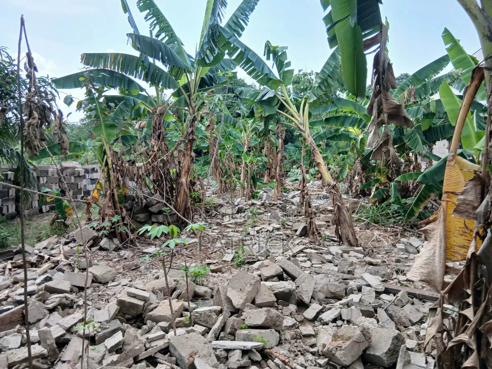 Two Plots of Land Just Behind Mowire Hospital