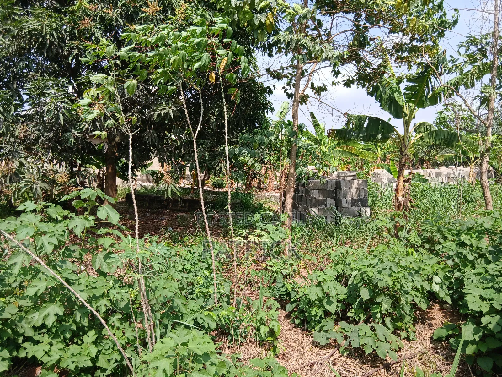 Two Plots of Land Just Behind Mowire Hospital