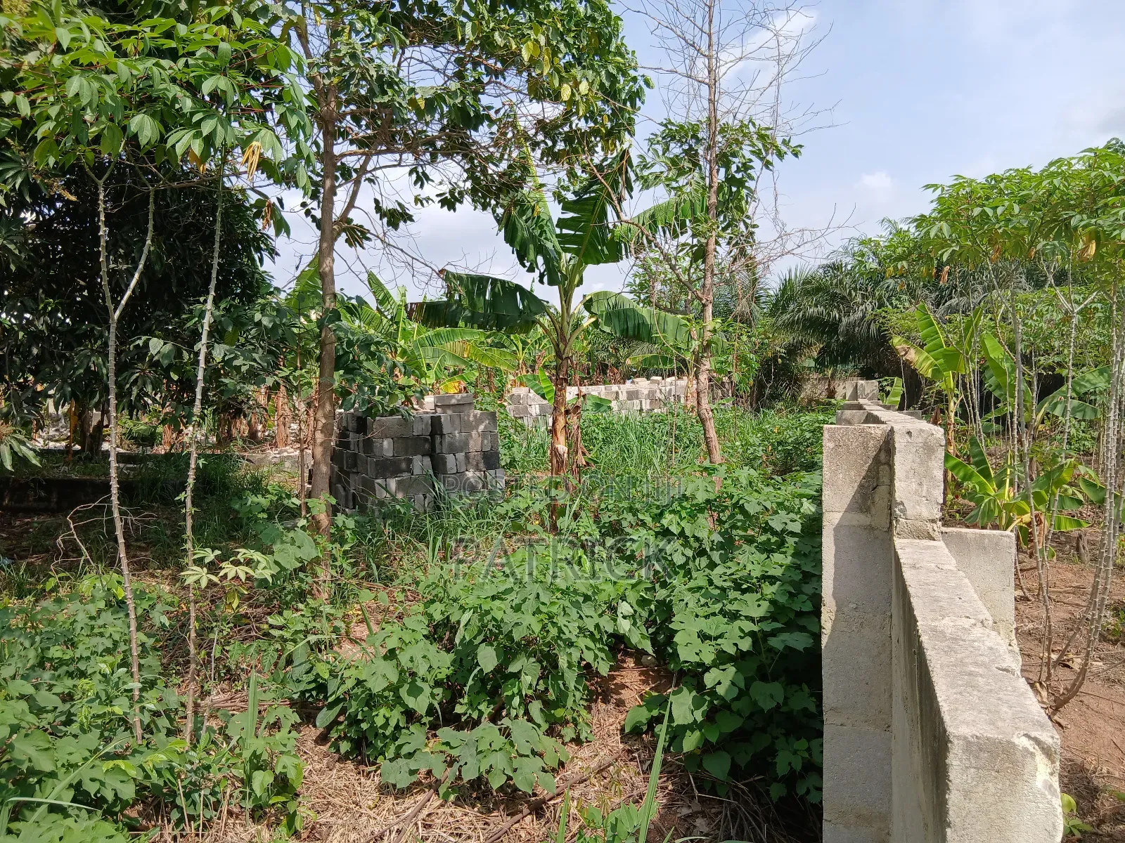Two Plots of Land Just Behind Mowire Hospital