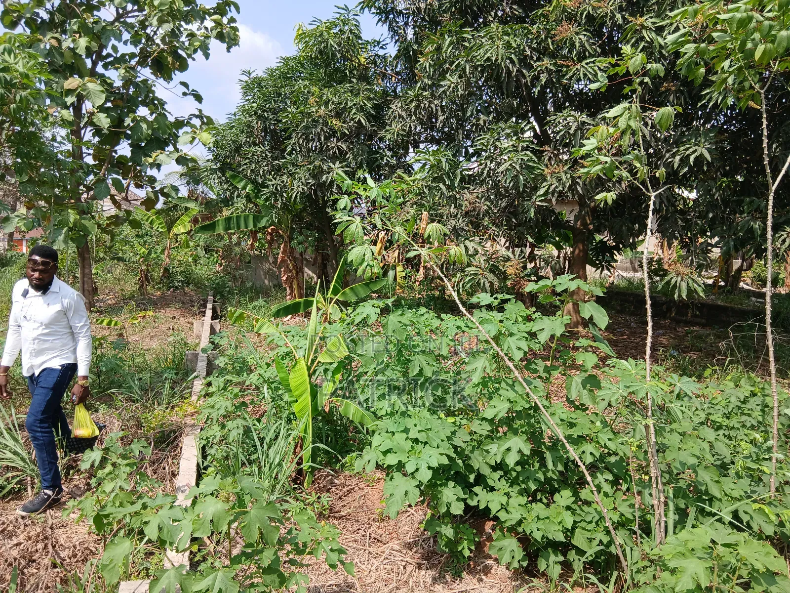 Two Plots of Land Just Behind Mowire Hospital