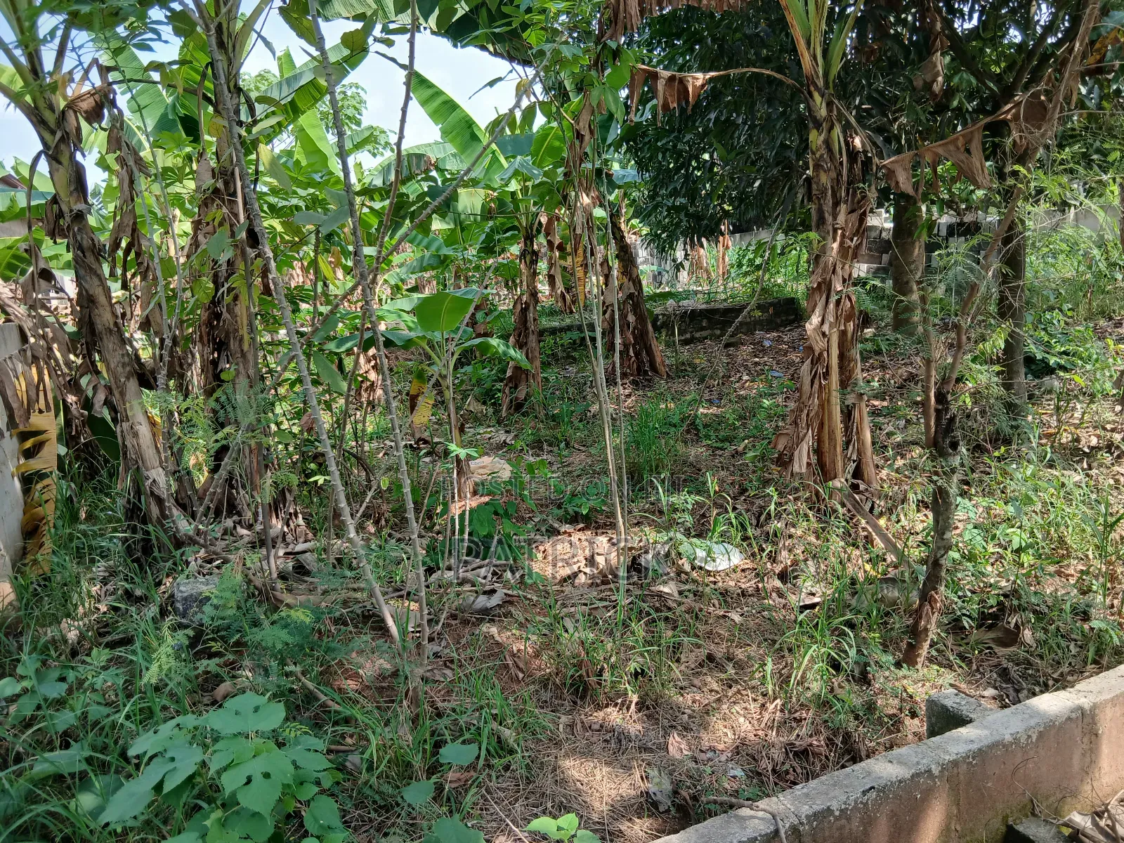 Two Plots of Land Just Behind Mowire Hospital