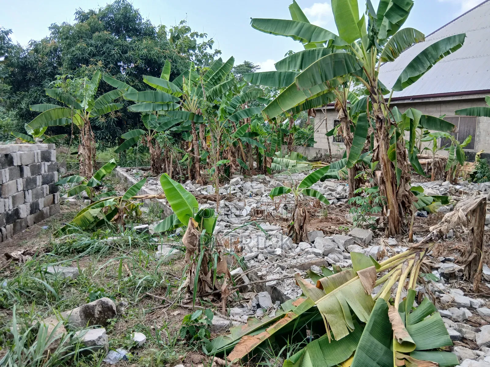 Two Plots of Land Just Behind Mowire Hospital