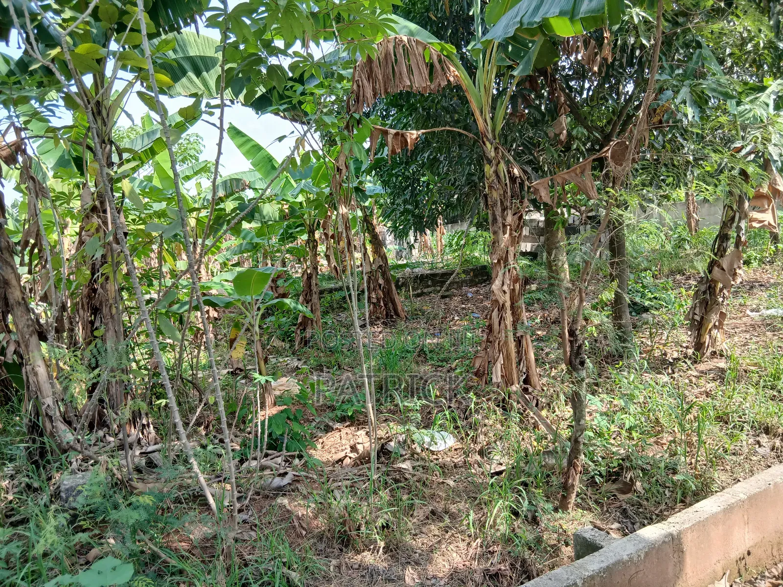 Two Plots of Land Just Behind Mowire Hospital