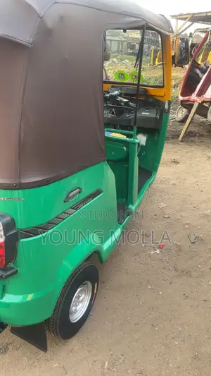 TVS 2024 Green