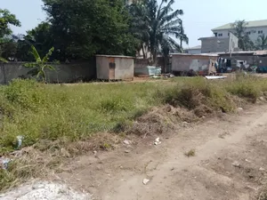 3.65 Acres Of Land For Sale In Osu