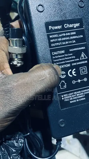 Electric Bike Charger