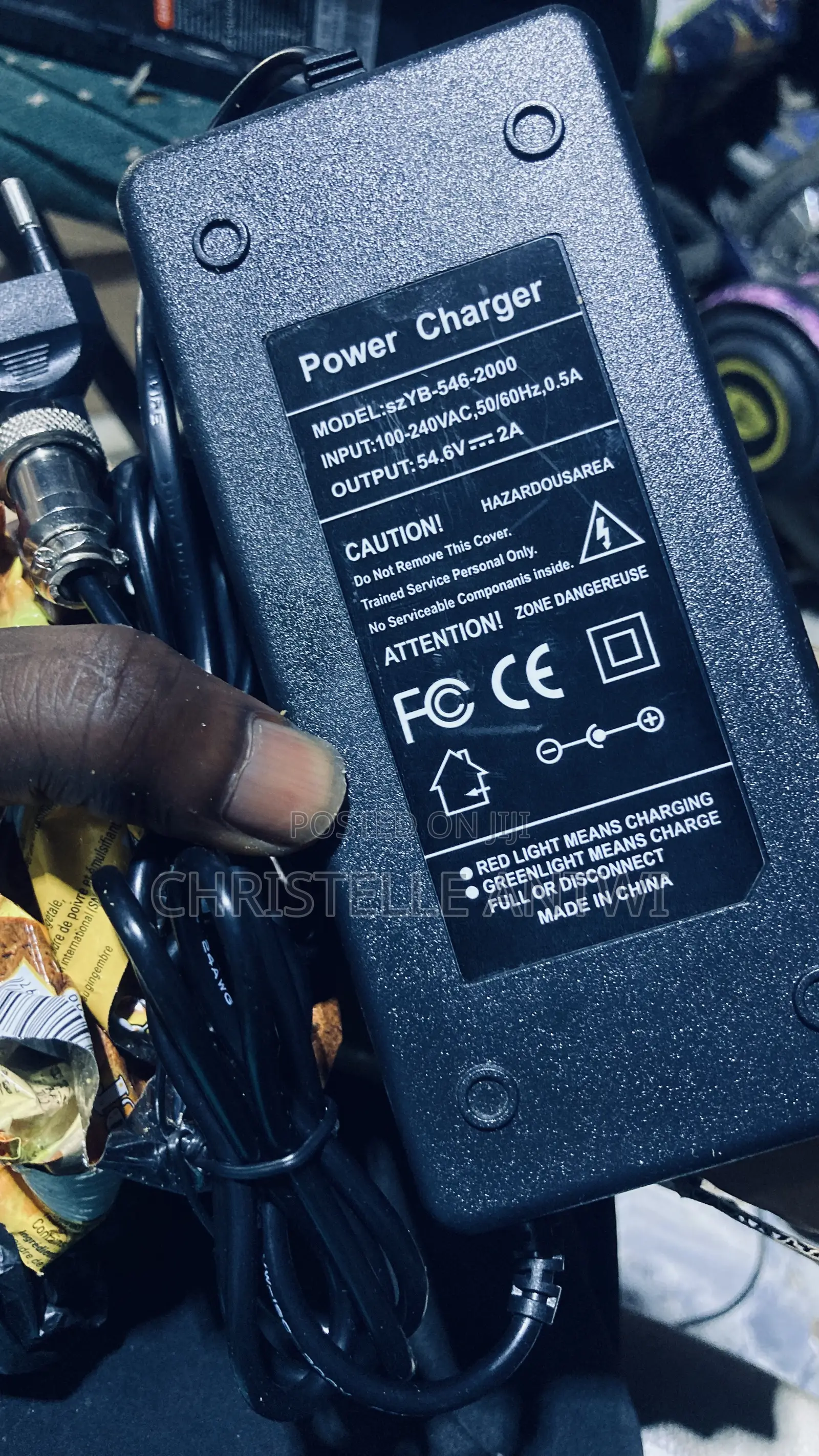 Electric Bike Charger