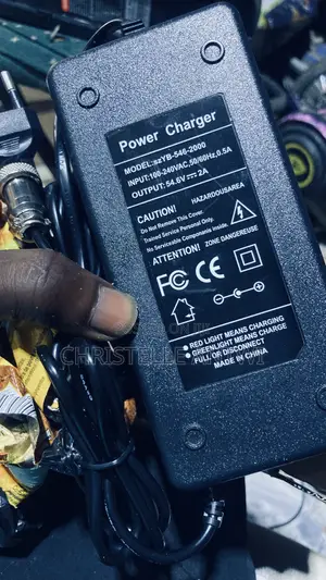 Electric Bike Charger