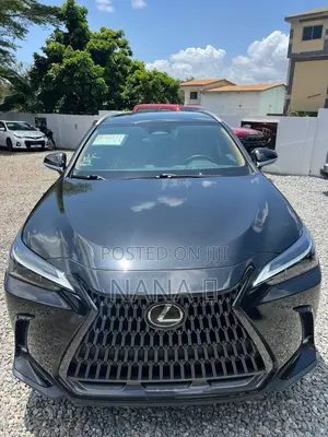 Lexus NX 250 AWD 2023 Black