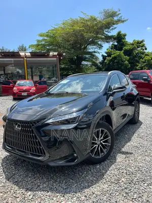Lexus NX 250 AWD 2023 Black